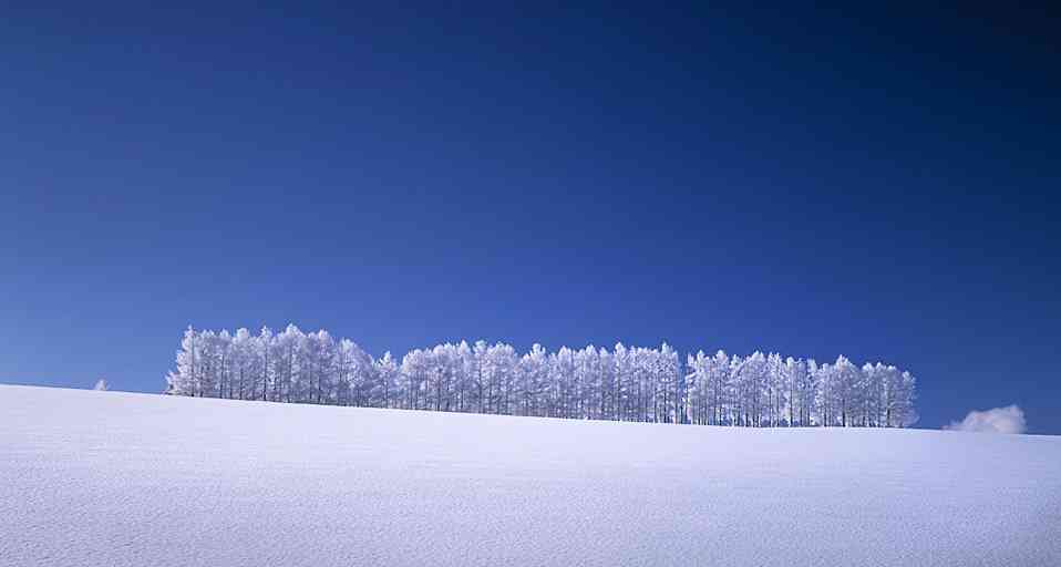 雪景色の画像が見たい