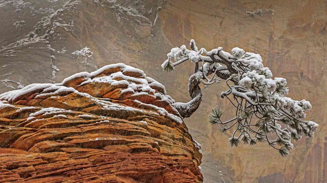 雪景色の画像が見たい