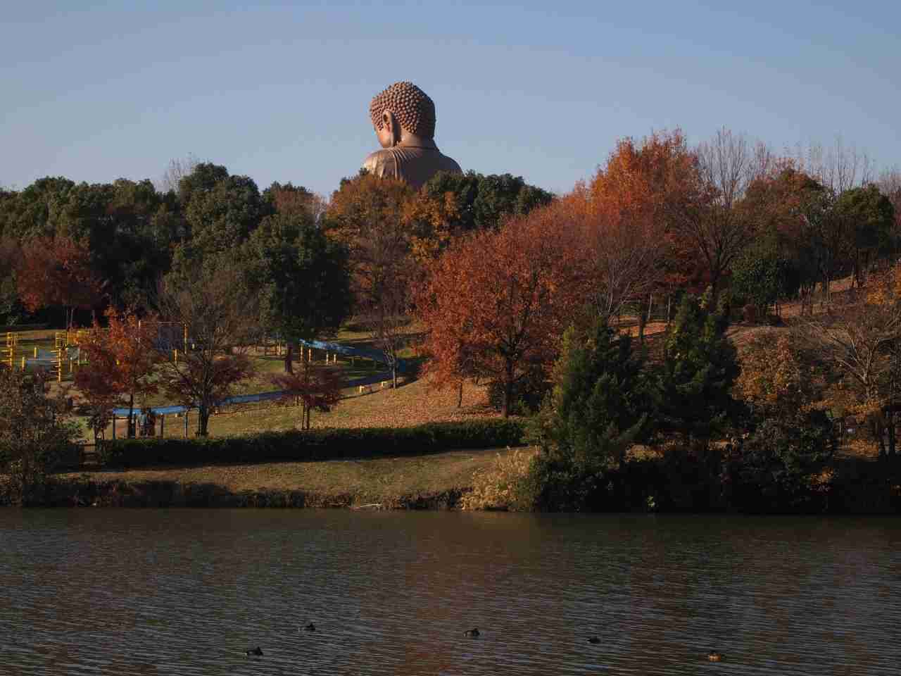 大仏の画像を貼るトピ