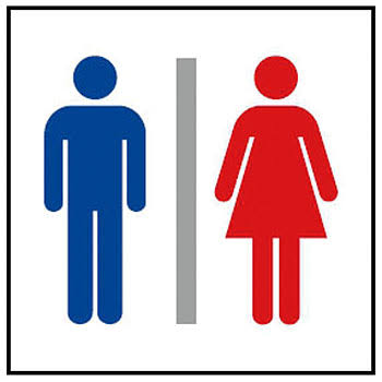 男女平等な会社で働いている人