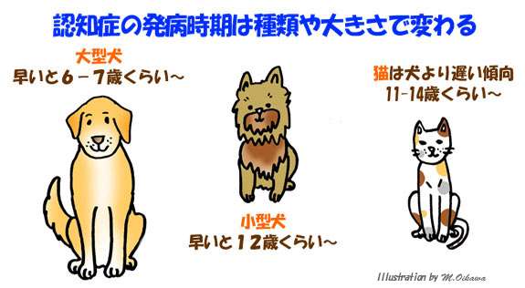 認知症の犬を飼ってる方