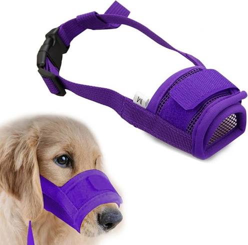 認知症の犬を飼ってる方