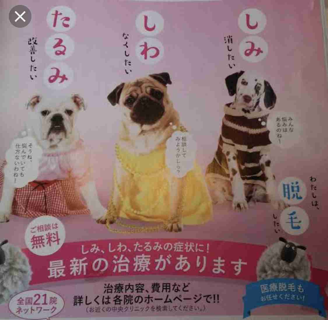 「ブツブツくん」活動終了　佐世保のリゾート施設キャラ　「皮膚の悩み配慮を」声受け