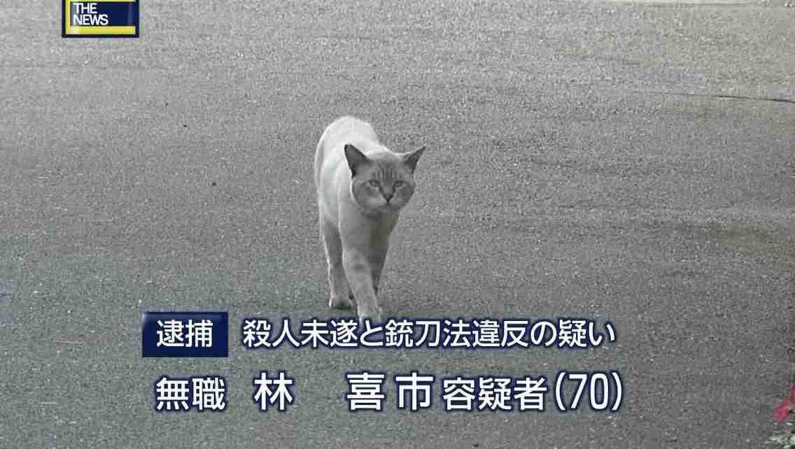 放送事故画像をひたすら貼っていくトピ