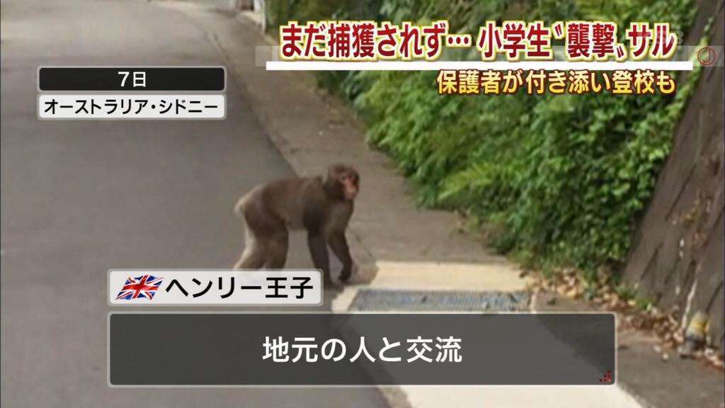放送事故画像をひたすら貼っていくトピ