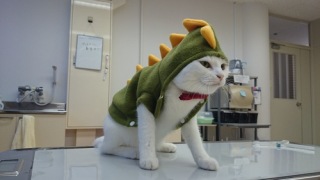 仕事や職場での我慢