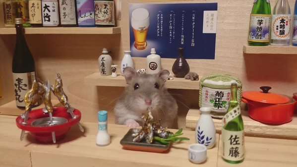 人間ぽい動物たち