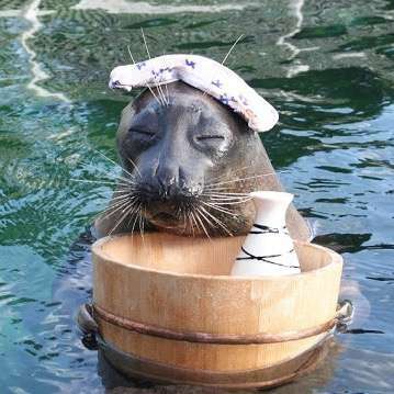 人間ぽい動物たち