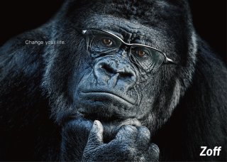 人間ぽい動物たち