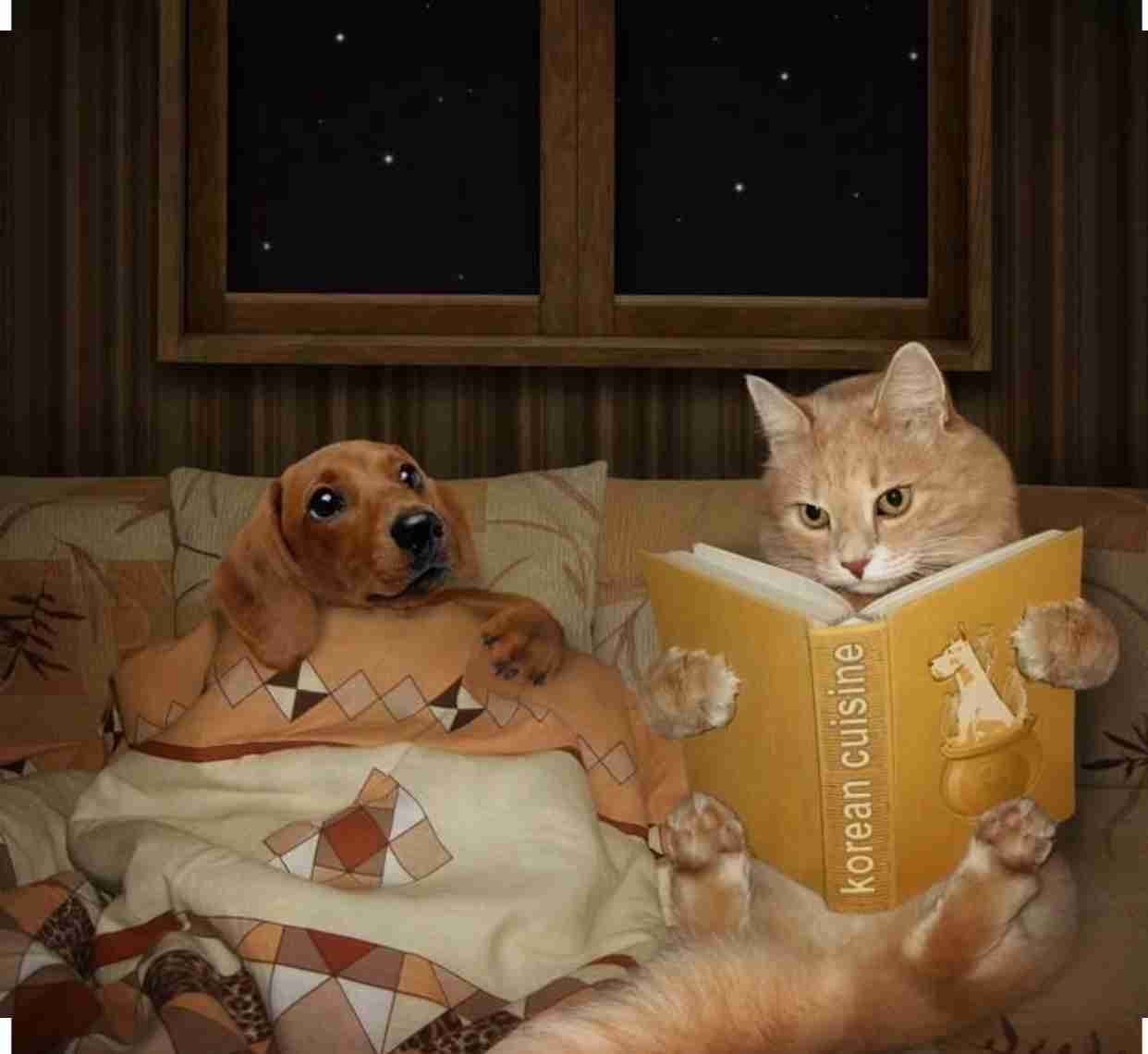 人間ぽい動物たち