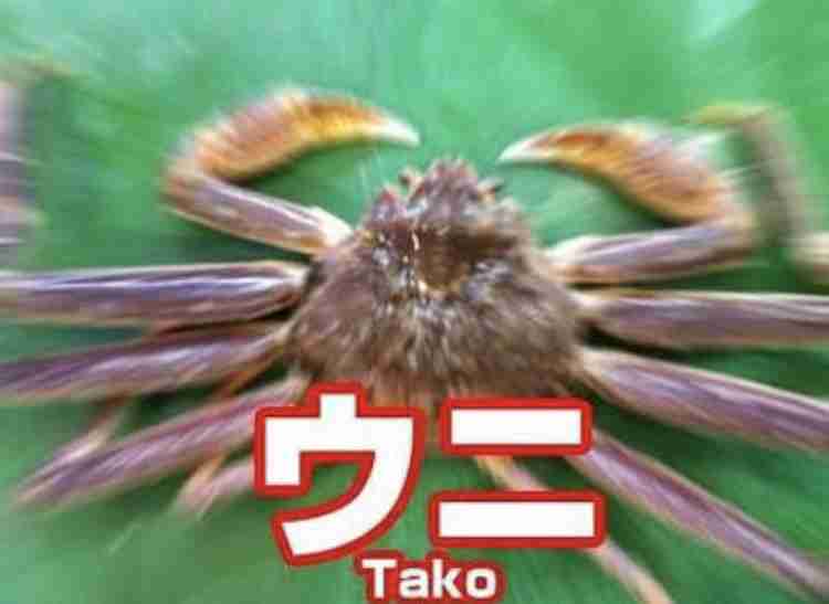 各都道府県のイメージを一言で言ってみるトピ