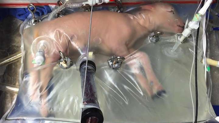 有村昆、代理母出産で授かった長男が1歳に　しみじみ感謝「皆さまのお陰」