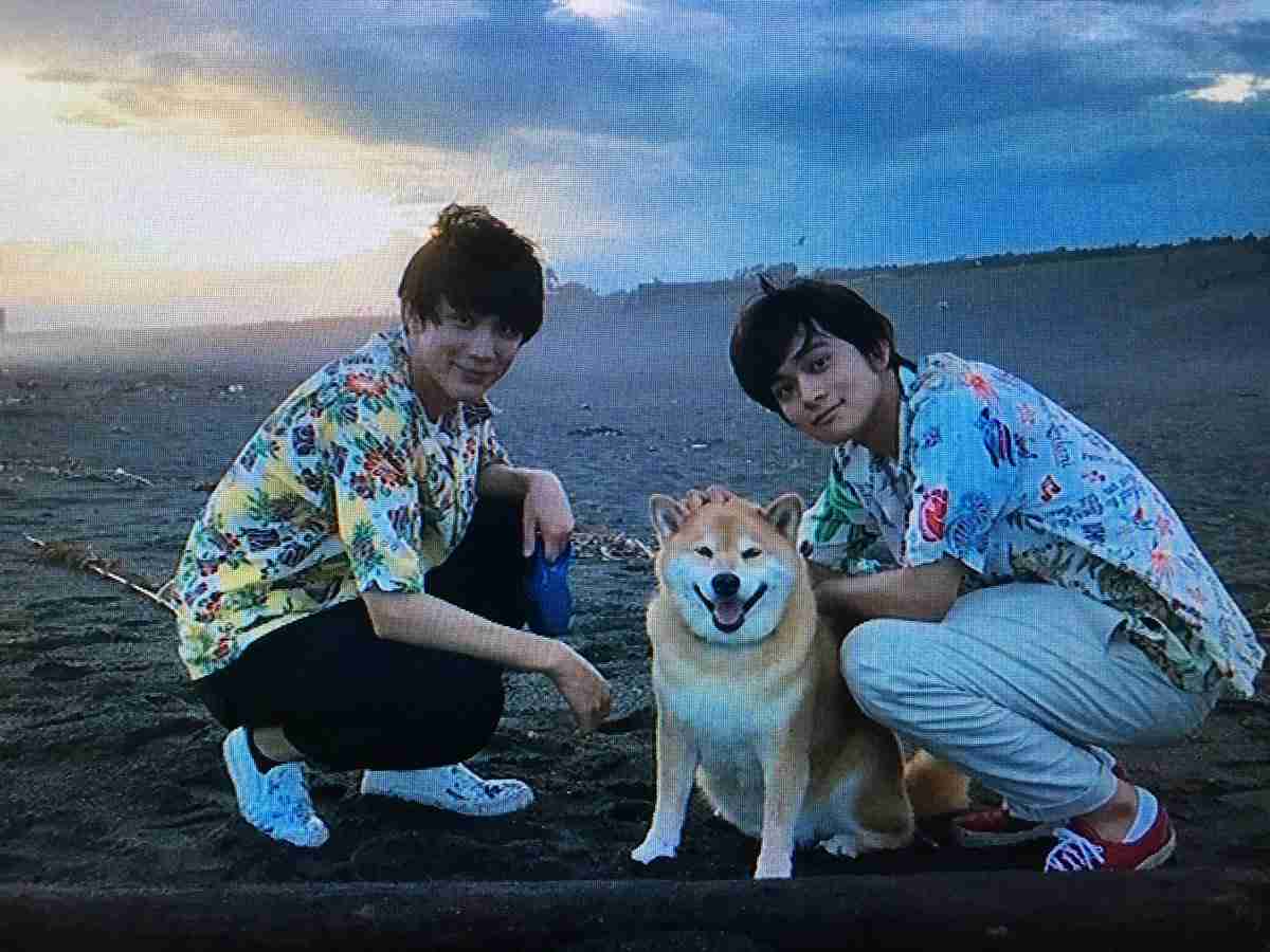 佐野勇斗、伊藤健太郎、町田啓太…更なる飛躍へ!2019年も注目の俳優たち