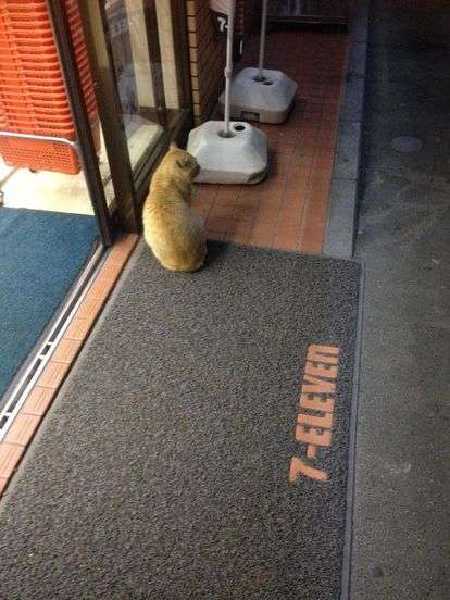 秒数が00秒の人に幸せが来るトピ