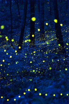 秒数が00秒の人に幸せが来るトピ