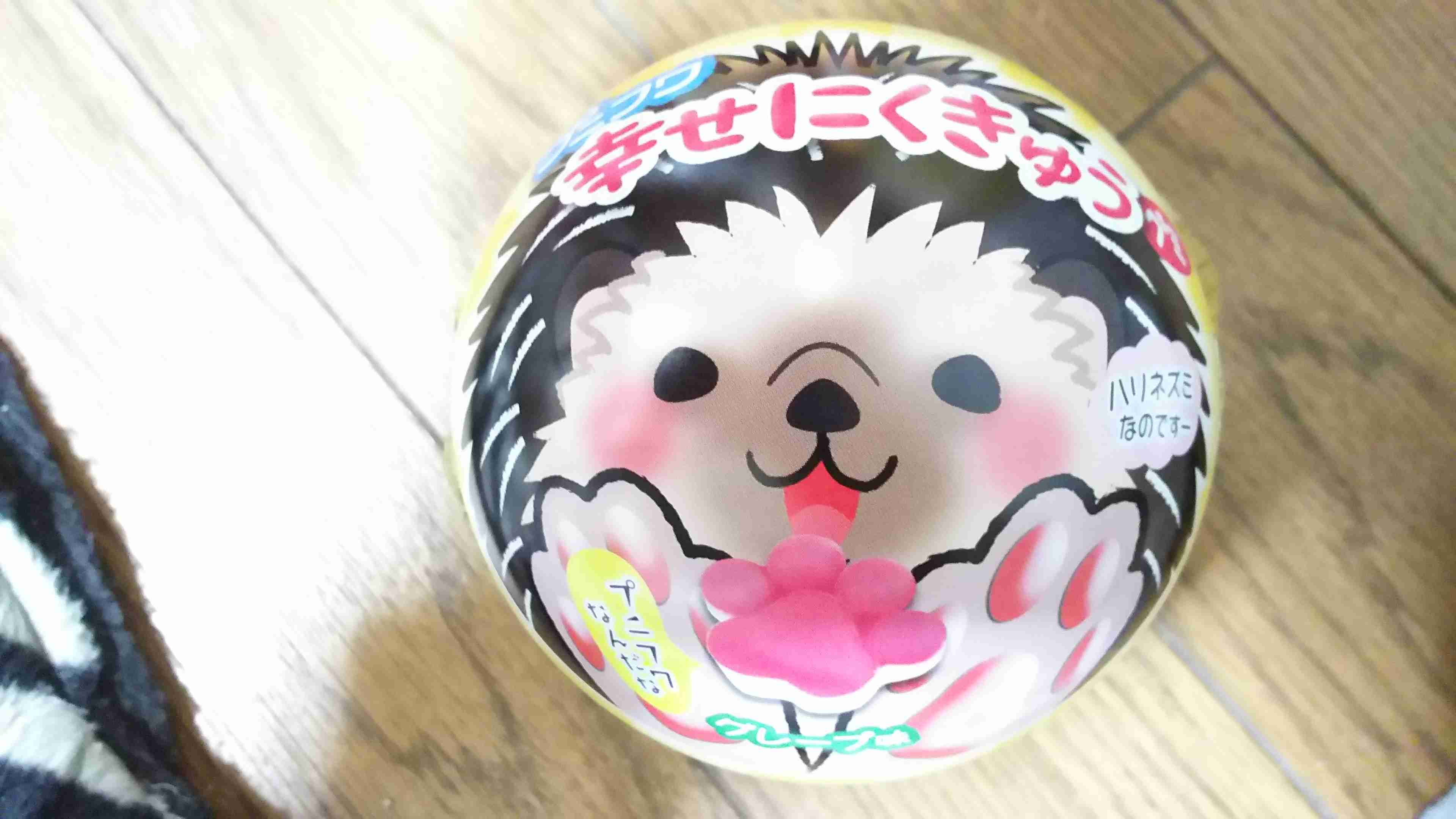 秒数が00秒の人に幸せが来るトピ