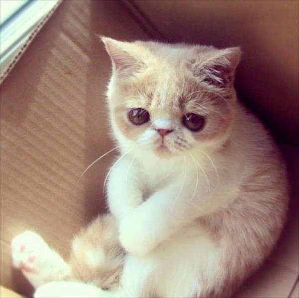 秒数が00秒の人に幸せが来るトピ