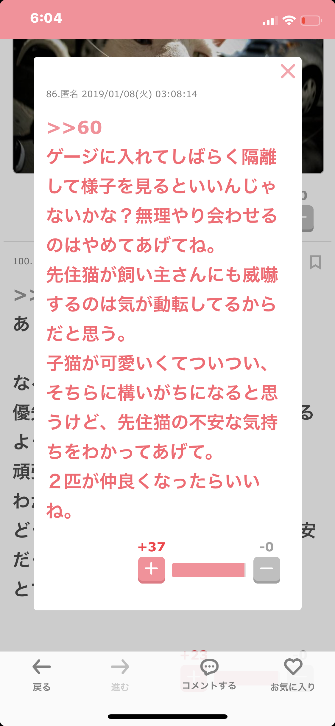 猫飼い主雑談相談トピ