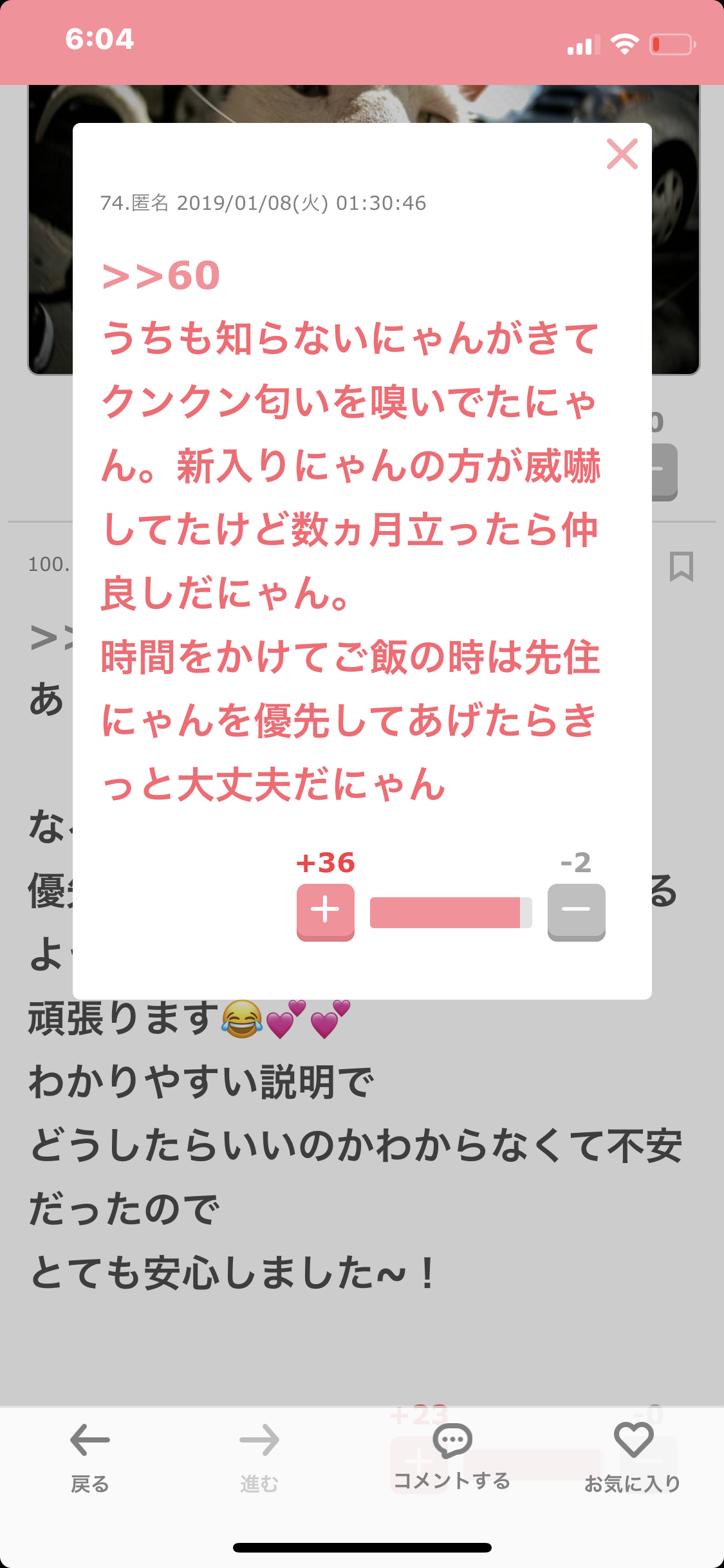 猫飼い主雑談相談トピ