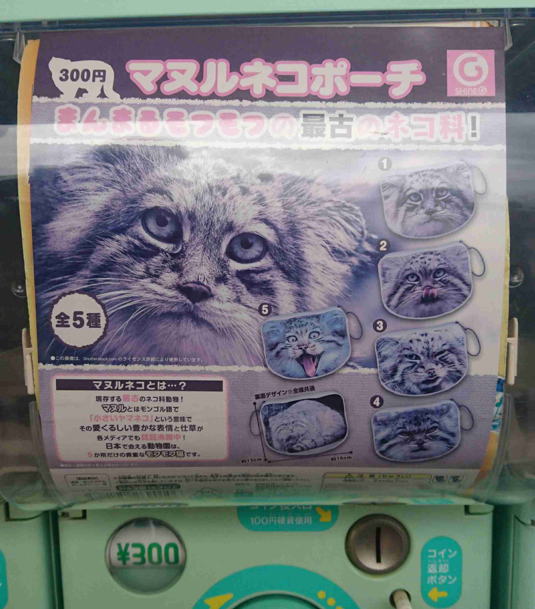最近回したガチャガチャ！