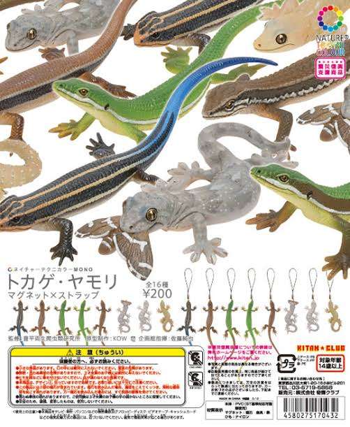 最近回したガチャガチャ！