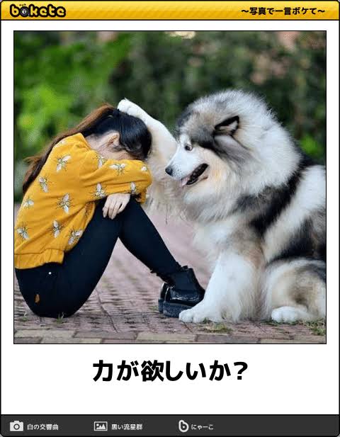 人間は30歳を過ぎても成長できるのか「追い込んでくれる存在がいないとダメ」という人も