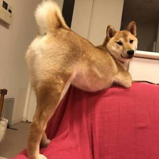 苦手な誘い方