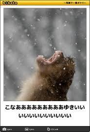 【スギちゃん】冬将軍になんて負けないぜぇ〜⛄️2019〜冬〜【part32】