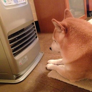 【スギちゃん】冬将軍になんて負けないぜぇ〜⛄️2019〜冬〜【part32】