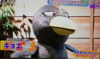 【スギちゃん】冬将軍になんて負けないぜぇ〜⛄️2019〜冬〜【part32】