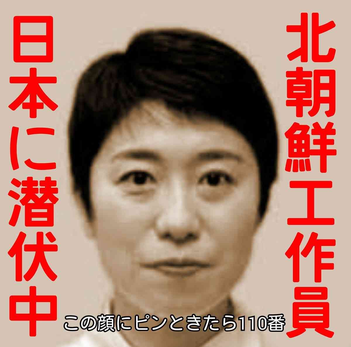 【日本】野党あるあるPart2