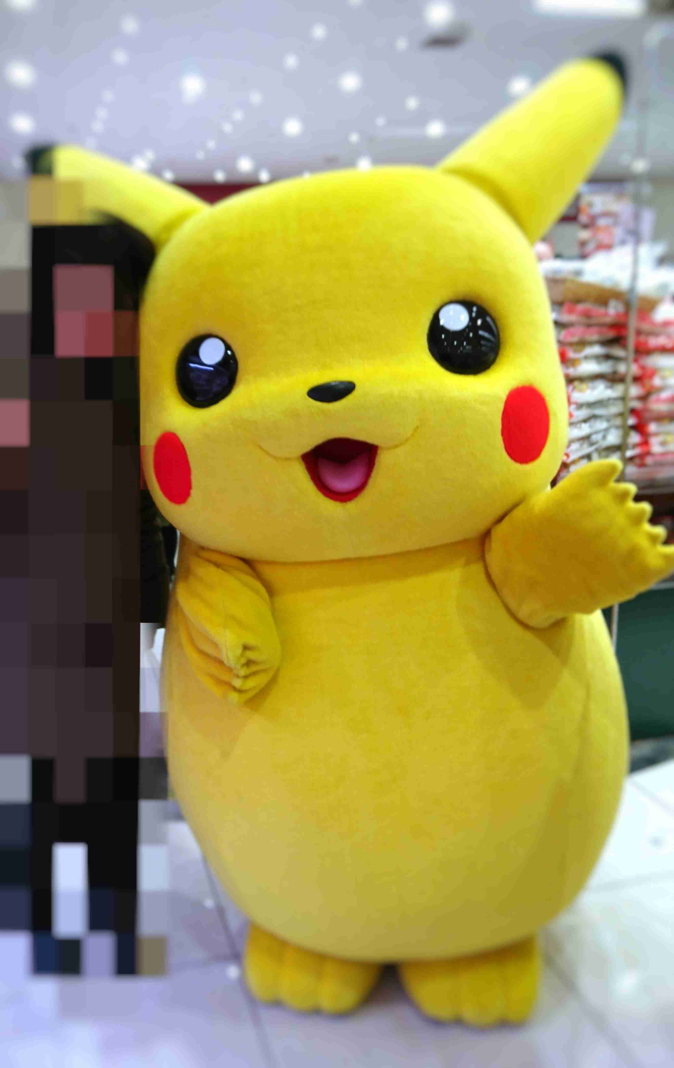 ピカチュウの画像を貼るトピ