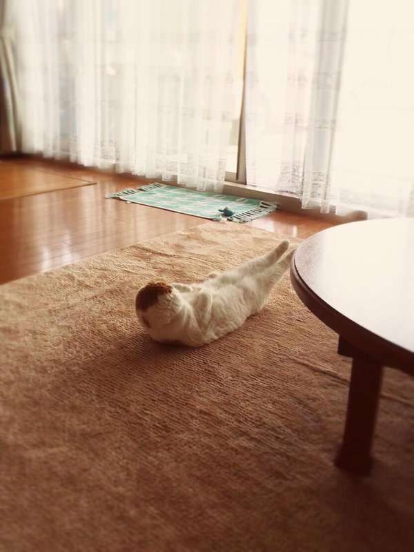 イケメンがダイエットを応援してくれるトピPart2