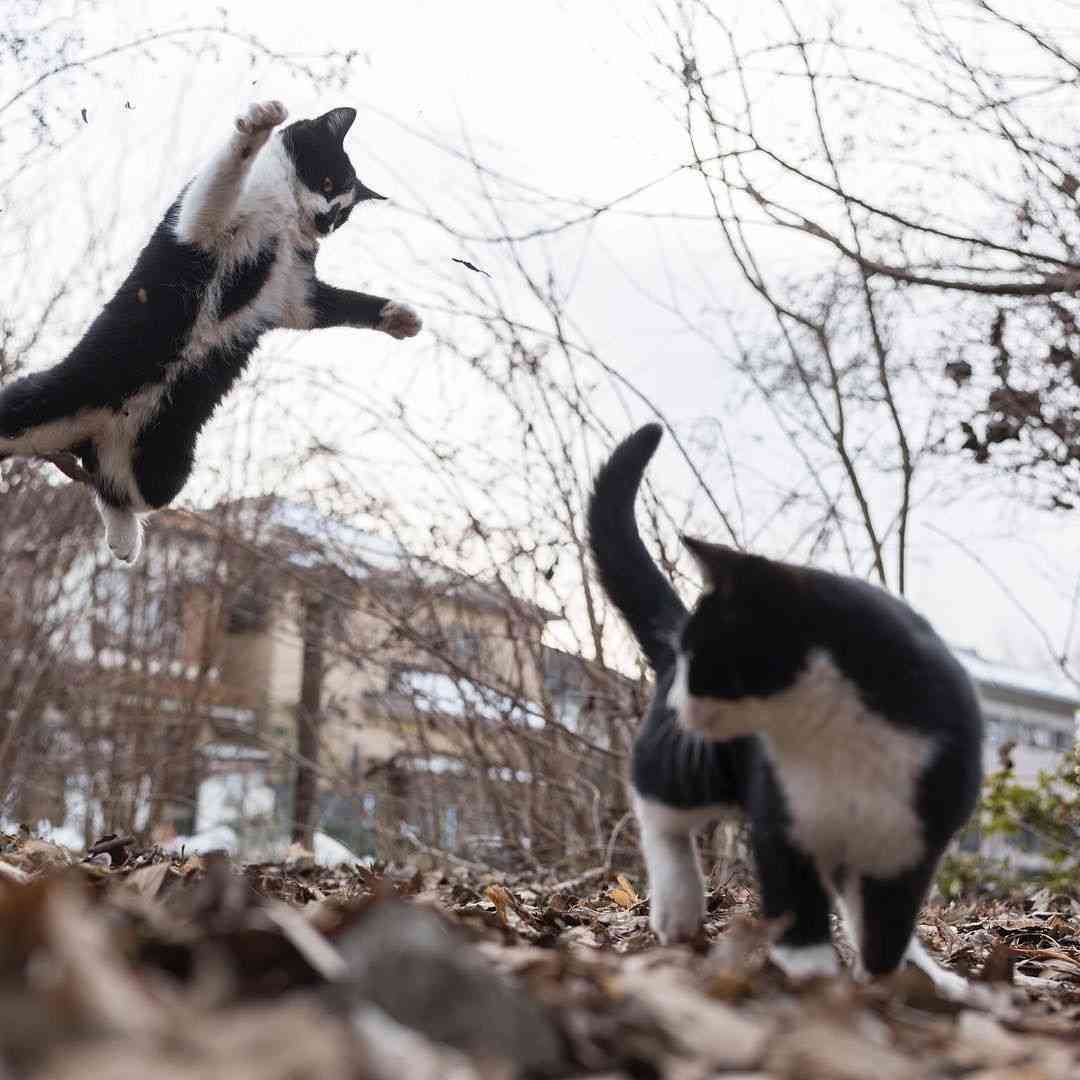 うしろ！うしろ！な画像