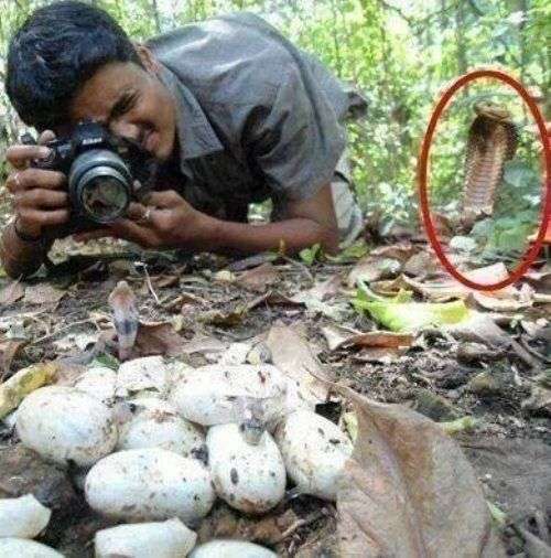うしろ！うしろ！な画像