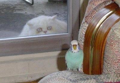 うしろ！うしろ！な画像