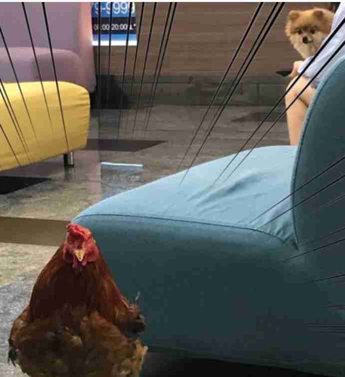 うしろ！うしろ！な画像