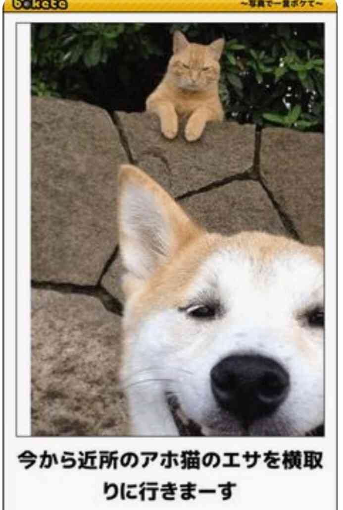 うしろ！うしろ！な画像