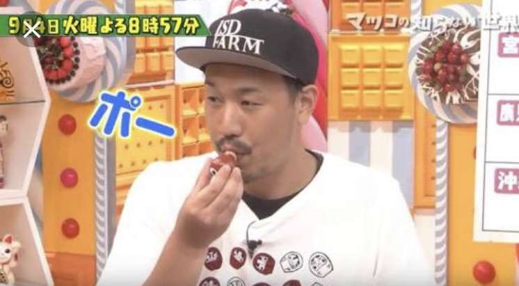 「マツコの知らない世界」で面白かった回