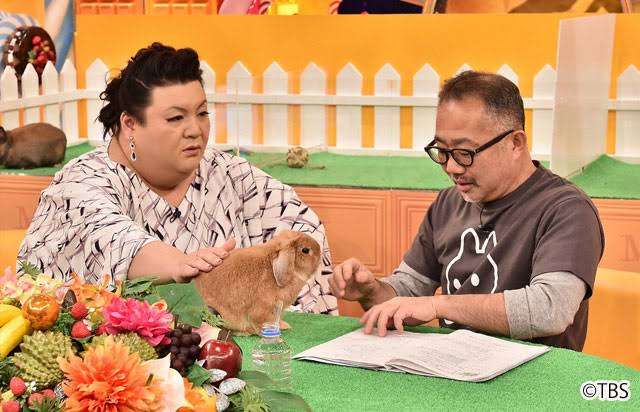 「マツコの知らない世界」で面白かった回