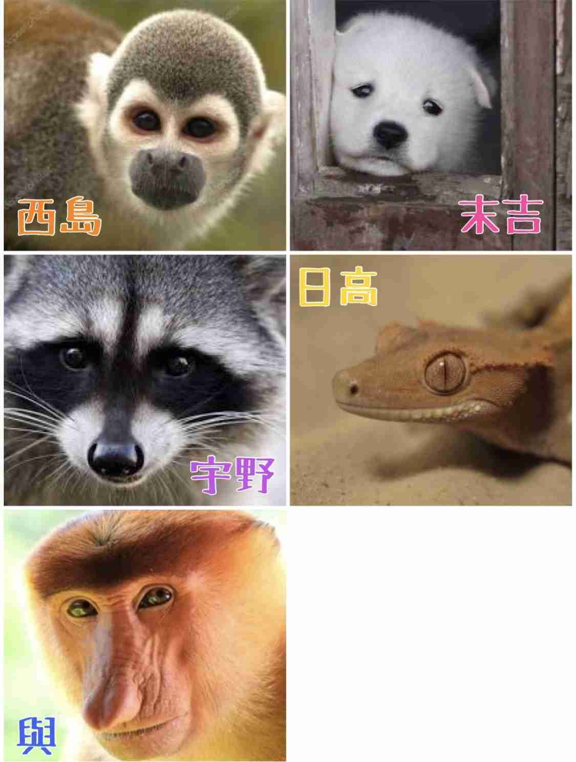 AAA語ろう