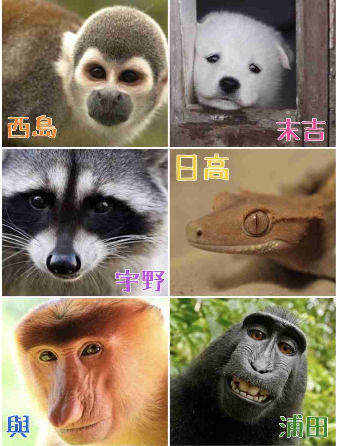 AAA語ろう