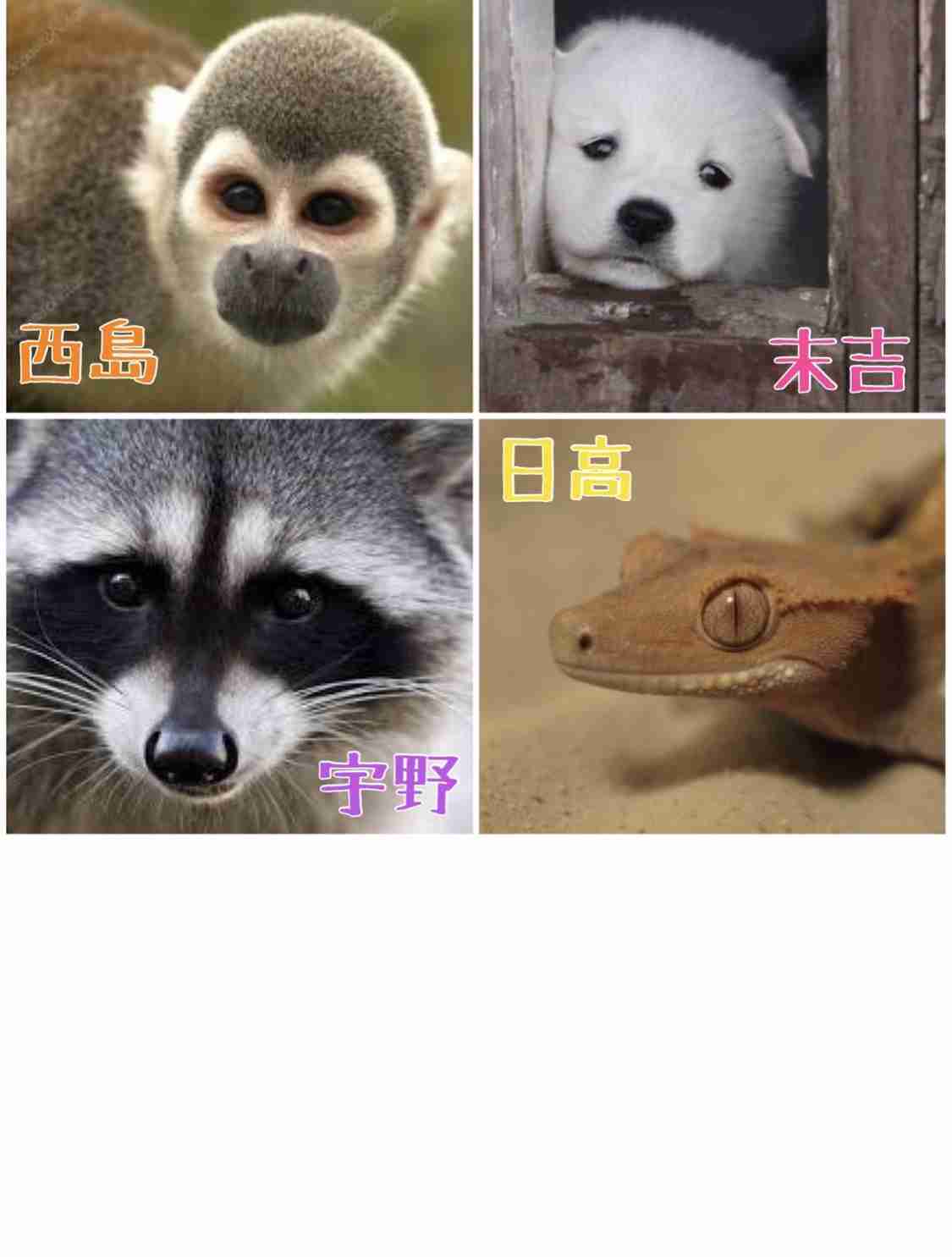 AAA語ろう