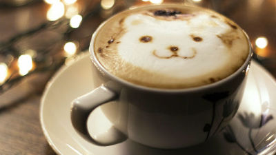 冬好きさん 『画像』