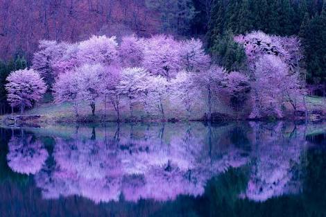 美しい日本の画像を貼っていくトピ