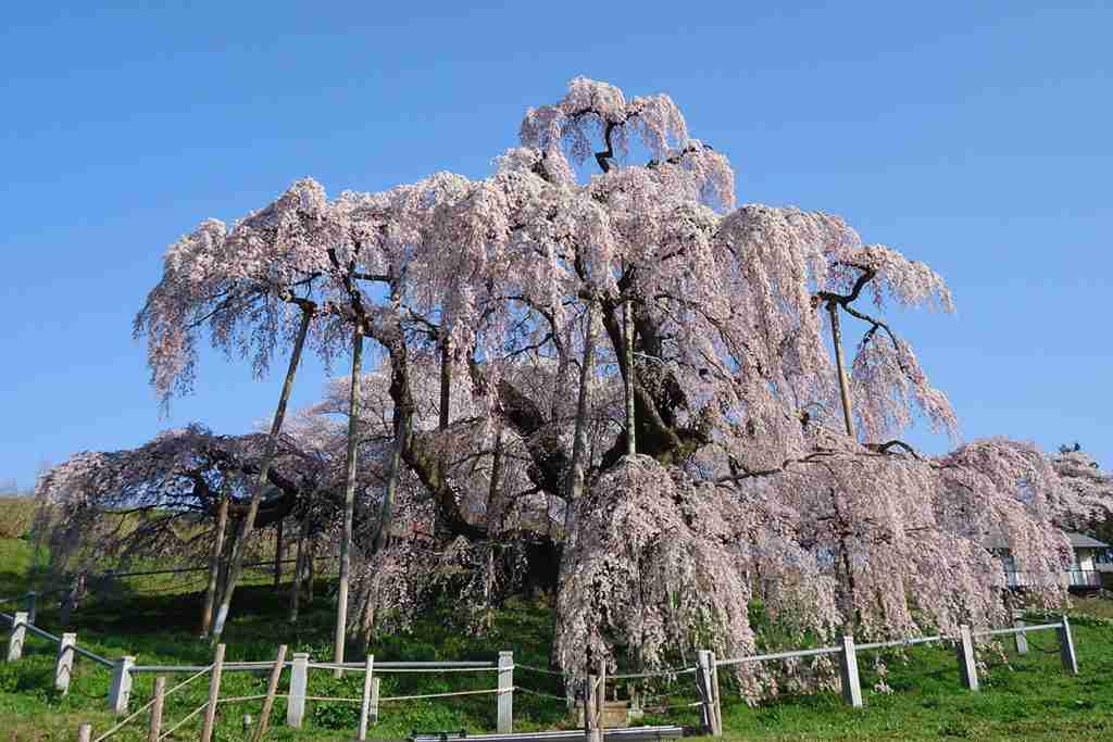 美しい日本の画像を貼っていくトピ