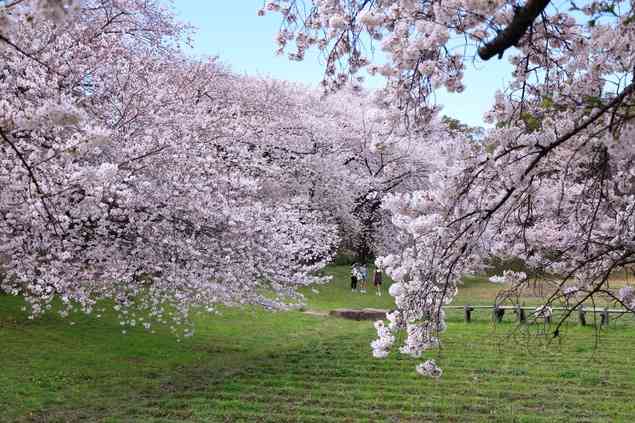 美しい日本の画像を貼っていくトピ