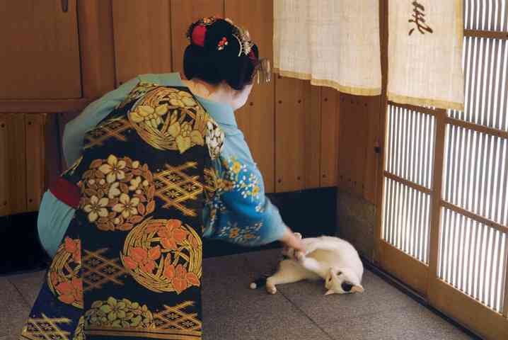 美しい日本の画像を貼っていくトピ