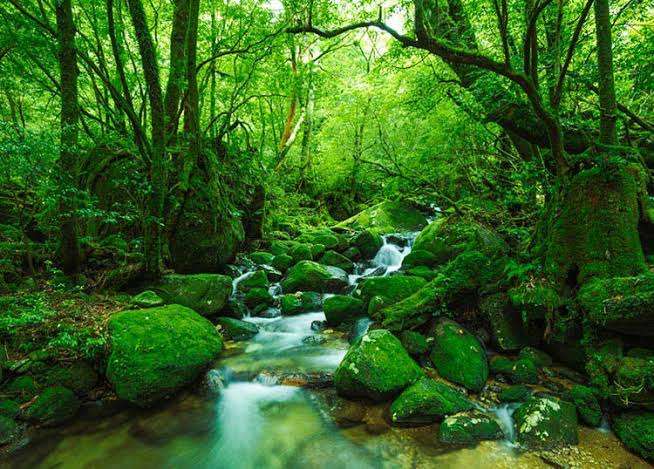 美しい日本の画像を貼っていくトピ