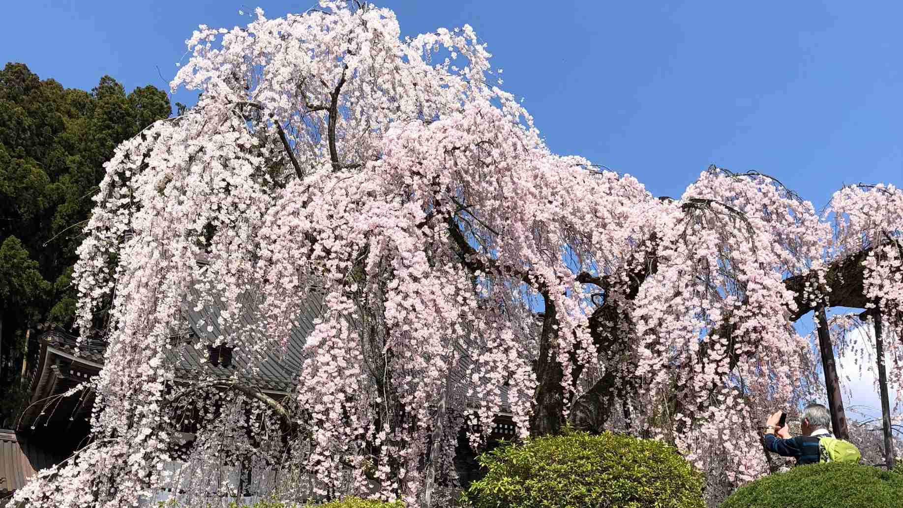 美しい日本の画像を貼っていくトピ